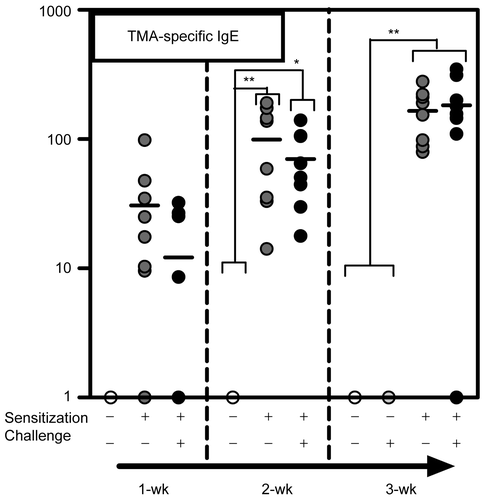 Figure 2.  TMA-specific IgE levels in mouse serum isolated 1 d after challenge with TMA solution or solvent alone. Experimental groups are as in Table 1. Results (circles) are values for (titer); bar indicates mean titer value. Statistical significance is marked by asterisks: *p < 0.05, **p < 0.01 (Tukey’s t-test).