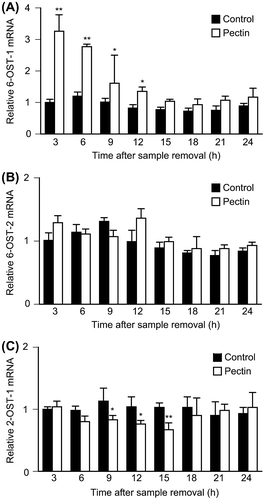 Fig. 3. Effects of pectin on 6-OSTs and 2-OST-1 mRNA expression level in the differentiated Caco-2 Cells.Notes: Differentiated Caco-2 cells were incubated with 0.1 mg/mL pectin for 1 h, and then incubated with normal medium for the indicated times. The time courses of changes in 6-OST-1, 6-OST-2, and 2-OST-1 mRNA expression were quantitatively determined by real-time RT-PCR and normalized relative to GAPDH expression. The values are shown as means ± SD of at least three independent experiments. Each value was compared with each control and statistical analyses were performed by Tukey’s test. *p < 0.05, **p < 0.01.