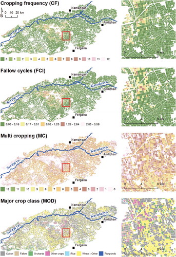 Figure 6. Maps for assessing cropland use intensity and productivity pattern (based on yield and water-use efficiency) at the field level.