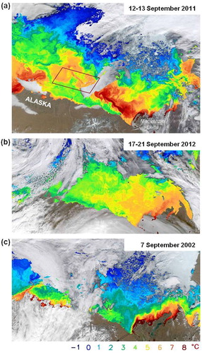 Fig. 1 Beaufort Sea in September. (a) Moderate-resolution Imaging Spectroradiometer composite image obtained on 12–13 September 2011 shows high sea-surface temperatures (SSTs) associated with the Mackenzie River plume persisted into autumn. The Wave Glider operating area is indicated by the box. (b) A more diffuse Mackenzie plume on 17–21 September 2012, after a summer of relatively light mean easterly winds. (c) The same area for 7 September 2002. Westerly winds have contained the plume to the coastal region. Year-to-year variation in the intrusion of warm Bering/Chukchi water carried by the Alaska Coastal Current past Point Barrow can also be seen (Okkonen et al. Citation2009). In 2011, high September SSTs in the western Beaufort are traceable to both the Alaska Coastal Current and warm water farther offshore that was advected from the east.