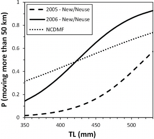 FIGURE 5. Regression model predictions of the probability that Southern Flounder moved more than 50 km from the location of release as a function of total length (TL; mm) for fish tagged in the Neuse and New rivers (2005–2006) and in coastal waters by the NCDMF (1980–1982, 1988–1995).