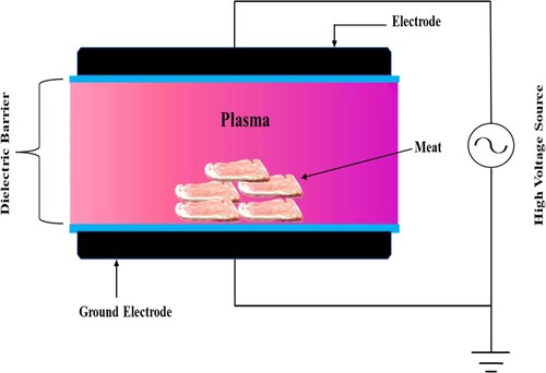 Figure 2. Schematic demonstration of atmospheric cold plasma processing of meat using DBD