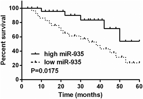 Figure 1. Low levels of miR-935 are linked to a poor outcome in non-small-cell lung cancer. (from reference [Citation38]).