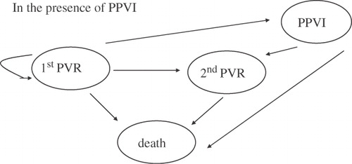 Figure 2.  Model assumptions for each cycle in the presence of PPVI.