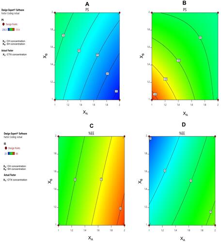 Figure 1 Contour plots elucidating the effect of the independent variables (CH concentration (XA) and SH concentration (XB)) on PS (A and B) and % EE (C and D) at the minimum and maximum levels of CTX concentration (XC), respectively.