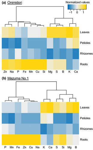 Figure 5. Mineral accumulation patterns in each tissue of young wasabi plants under optimal pH conditions (pH 6.0).