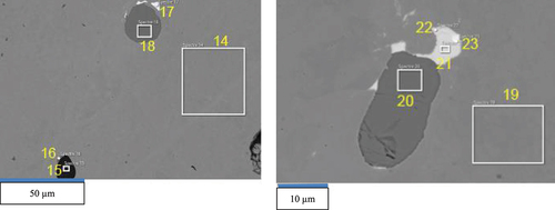 Figure 8. Typical SEM micrographs of VF-U3 metallic block.