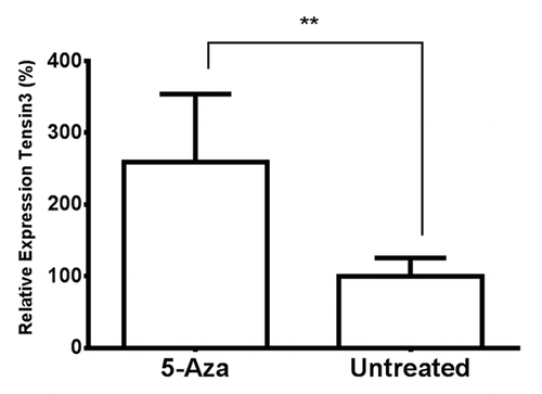 Figure 5. The effect of 5-aza-2′-deoxycytidine treatment on Tensin3 mRNA expression in human kidney cells. HK-2 cells were treated with 40µM 5-aza-2′-deoxycytidine (5-Aza) for 96 h, and RNA extracted from cell lysates underwent qRT-PCR analysis. Tensin3 mRNA amounts were determined using the relative standard curve method, with normalization against the housekeeping gene B2M. Bars represent mean ± SD of gene expression relative to untreated control; **p < 0.01 (n = 3, representative experiment).