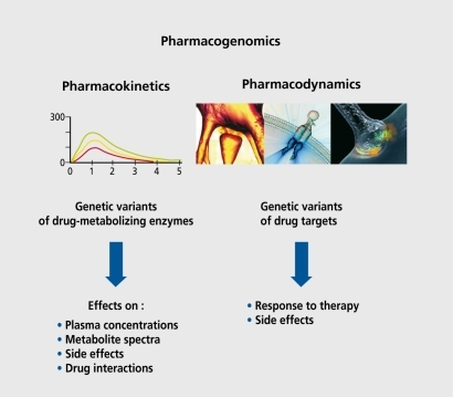 Figure 2. Pharmacogenomics: the study of how genetic inheritance affects the body's response to drugs.