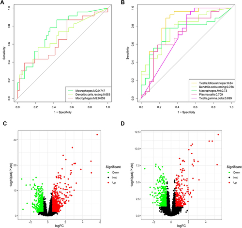 Figure 2 Identification of key immune cells and DEGs. (A) AUCs of three differentially distributed immune cells in GSE20257. (B) AUCs of five differentially distributed immune cells in GSE10006. (C) Volcano plot of DEGs in GSE20257. (D) Volcano plot of DEGs in GSE10006.