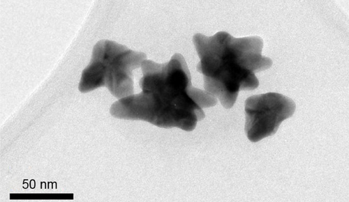 Figure S1 Transmission electron microscopy image of the nanostars.
