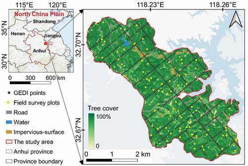 Figure 1. Location of the study area and surveyed plots superimposed on land use and cover information (Buchhorn et al. Citation2020; Nesha et al. Citation2021) for the measurements of the plant area index conducted in February and July 2020. The black dots indicate the GEDI footprints used in this study.