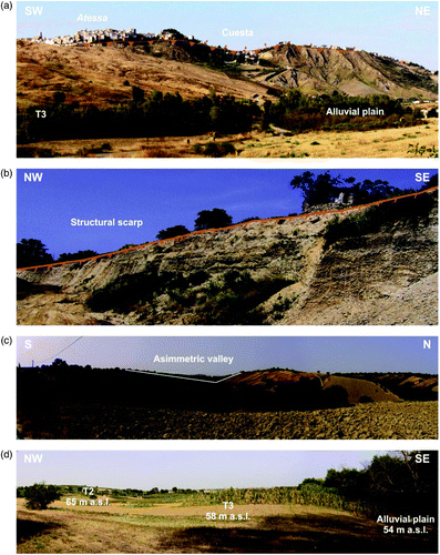 Figure 5. Morphotectonic elements in the Osento River basin. (a) Atessa, escarpment of the cuesta located in the SW sector of the basin; (b) Structural scarp in the NE sector of the basin; (c) Asymmetric valley near Paglieta; (d) Fluvial erosion scarps with terrace fluvial deposits in the middle sector of the basin.