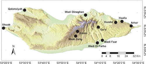 Figure 3. Distribution of Dignomus mesopotamicus (Pic) in Socotra.