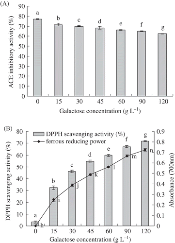 FIGURE 4. A: Effects of galactose concentration on ACE inhibitory activity of galactose-BCP MRPs during heat treatment at pH 9.0 and 95°C for up to 3 h; B: Effects of galactose concentration on DPPH radical scavenging activity and ferrous reducing power of galactose-BCP MRPs during heat treatment at pH 9.0 and 95°C for up to 3 h. Error bars represent the standard deviation of the mean of triplicate experiments. Values with different letters are significantly different (p < 0.05).
