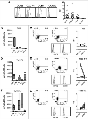 Figure 3. Chemokine receptor and cytokine profile of Th22 clones from the BM of MM patients. (A) Surface expression of CCR6, CXCR4, CCR4, and CCR10. (Left) Representative histograms: isotype control staining (solid gray), chemokine receptor-specific staining (black line). (Right) RFI (i.e., fold increase in mean fluorescence intensity relative to isotype control) calculated for each clone. (B, D, and F) Cumulative cytokine secretion by clones from different MM patients represented as Whisker plots. (B) Th22 clones (n = 4). (D) Th22-Th1 clones (n = 8). (F) Th22-Th2 clones (n = 10). (C-E-G) (Left and middle) Analysis of CXCR3 and CRTh2 expression in one representative Th22 (C), Th22-Th1 (E), and Th22-Th2 (G) clone, respectively. Dot plots (left and middle upper) and histograms (middle lower) from representative clones are shown. (Right) Cumulative RFI of paired CXCR3 and CRTh2 staining calculated for each clone.