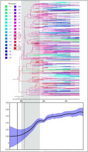 Figure 1. Time-scaled phylogeographic history of CRF55_01B strain. Branch colours represent the most probable province of the parental node of each branch. The MCC trees and Bayesian Skygrid demographic reconstruction share a timeline. The dotted frame shows the period of rapid spread of CRF55_01B strain from 2005 to 2009.
