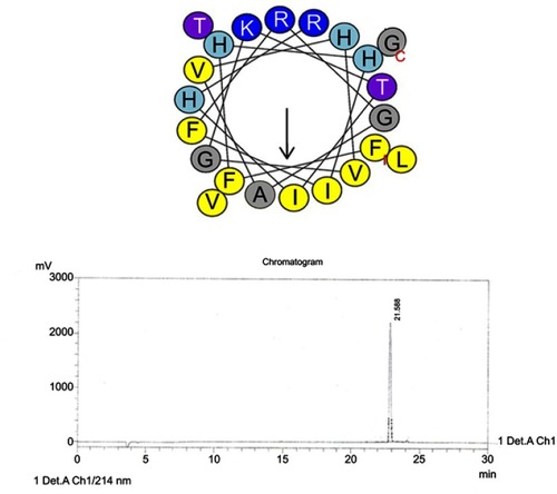 Figure S2 Helical wheel projections and retention time for I9A-piscidin-1. Upper picture: Residues are numbered starting from the N-terminus. Hydrophobic and positive charge residues are defined with yellow and blue color, respectively. Chromatogram for piscidin-1, dominant peak is synthetic I9A-piscidin-1.