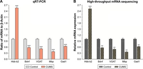 Figure 3 The validation of differentially expressed mRNAs in the NAc from mice with CUMS-induced depression-like behaviors and controls.