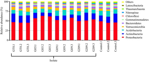Figure 6. Relative abundances of the dominant bacterial phyla in ginseng rhizospheric soils inoculated plant growth promoting bacteria and non-inoculated control. The experiments were repeated triple and 10 plants per set.