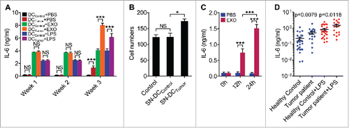Figure 9. DCs with enhanced IL-6-secretion capacity were found in tumor-bearing mice and patients. (A, B) Mice were subcutaneously inoculated with 5 × 105 B16-F10 cells, and mice without tumor inoculation were used as controls. Then, DCs from splenocytes were isolated 1 week, 2 weeks or 3 weeks later and stimulated with PBS, 5 μg/ml B16-F10-EXO or 100 ng/ml of LPS for 6 h. IL-6 production by DCs was detected by ELISA (n = 3) (A). DCs from splenocytes were isolated 3 weeks later and cultured in vitro for 6 h. Culture supernatant was collected and B16-F10 cells were cultured in this supernatant for 24 h. Then, the invasive ability of B16-F10 cells was measured (n = 5). Control indicates B16-F10 cells without any treatment (B). SN-DCPBS or SN-DCtumor denotes supernatant from DCs of healthy control mice or tumor mice, respectively. (C) Mice were intravenously injected with 100 μl of PBS or 10 μg/100 μl of B16-F10-EXO. Then, DCs from splenocytes were isolated 12 or 24 h later and cultured in vitro for 6 h. IL-6 production by DCs was detected by ELISA (n = 3). (D) Human DCs were isolated from PBMCs from healthy volunteers (n = 27) or breast tumor patients (n = 18) and cultured in vitro for 6 h with or without 100 ng/ml LPS. IL-6 production by DCs was detected by ELISA. The results are shown as the mean ± SEM of 3 independent experiments or of all detected samples. P values were generated by a 2-tail student's t-test.