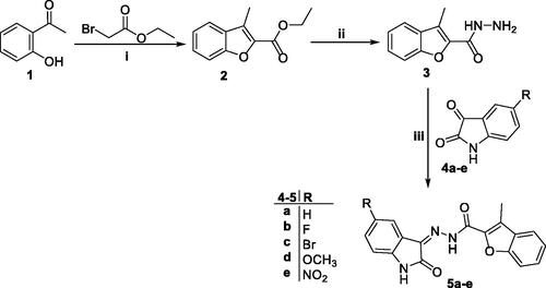 Scheme 1. Synthesis of target conjugates 5a–e; (i) Anhydrous CH3CN/potassium carbonate/reflux 8 h, (ii) Hydrazine hydrate/methanol/reflux 4 h, (iii) Ethanol/drops glacial acetic acid (Cat.)/reflux 3–6 h.