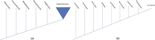 Figure 1. Showing the phylogenetic relationships of major groups of freshwater diatoms. Fig. 1a. Overall relationships of non-raphid diatom groups with freshwater representatives. After Theriot et al. (Citation2015). Fig. 1b. Overall relationships of raphid diatom groups with freshwater representatives. After Theriot et al. (Citation2015).
