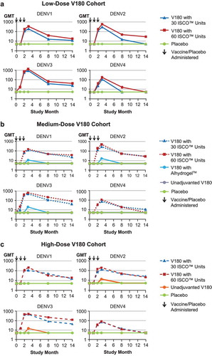 Figure 2. Neutralizing antibody kinetics: GMTs through 1 Year postdose 3 (per-protocol population).