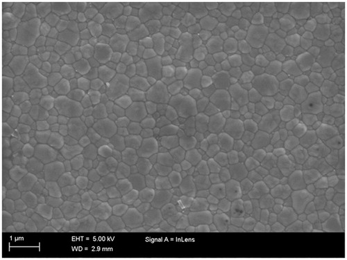 Figure 5. The FESEM micrograph of the specimen which was thermally treated in 1500 °C reveals that the grain size is 392 nm (standard deviation 154 nm).