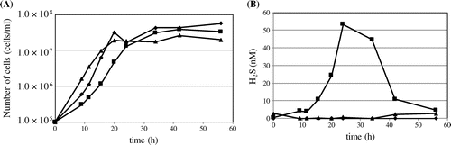 Figure 6. Sulfide production. (A) Growth of S. pombe wild type PR110 (diamond), S. pombe ∆ppt1 (square), and S. japonicus NIG5091 (triangle) was monitored by counting cell numbers in YES medium. (B) Sulfide is measured in the same strains by the methylene blue method.