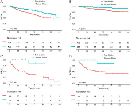 Figure 4. Kaplan–Meier curves of PC. (A) thermal ablation versus non-ablation for OS of TC patients after PSM; (B) thermal ablation versus non-ablation for LCSS of TC patients after PSM; (C) thermal ablation versus non-ablation for OS of AC patients after PSM; (D) thermal ablation versus non-ablation for LCSS of AC patients after PSM. PC: pulmonary carcinoid; TC: Typical carcinoid; AC: atypical carcinoid; OS: overall survival; LCSS: lung cancer-specific survival; PSM: propensity score matching.