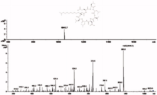 Figure 6. LC-ESI-MS/MS spectrum of extracellular extract secreted by B. brevis KN8(2).