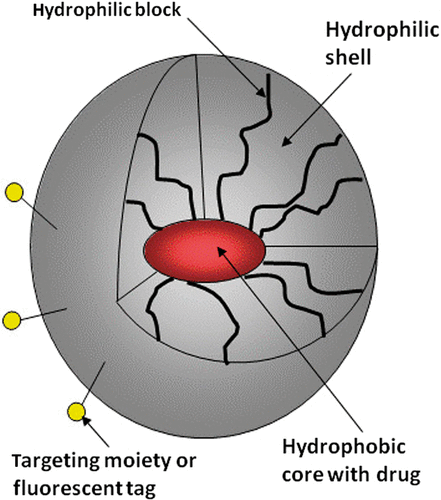 Figure 1. Schematic representation of a polymeric micelle.