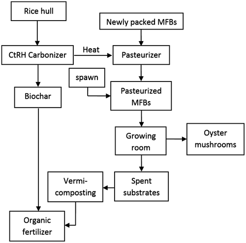 Figure 2. The use of the CtRH carbonizer in the production of oyster mushrooms within Palayamanan.