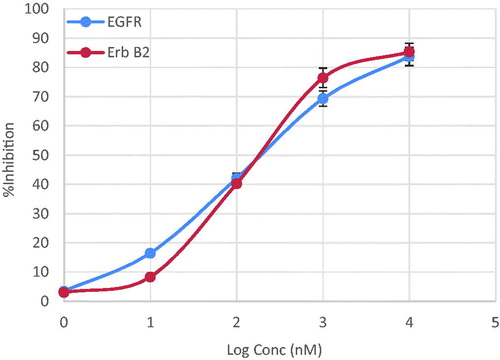 Figure 4. Line representation of the effect of compound 7d on EGFR and ErbB2 tyrosine kinases.