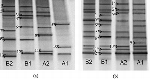 Figure 4. Fingerprints of type I (a) and type II (b) methanotrophic bacterial communities in the microcosms as generated by nested PCR-DGGE (denaturing gradient: 30–60%). Bands designated with an asterisk were excised and subjected to sequencing and identification.