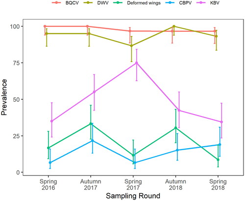 Figure 4. Seasonal prevalence of viruses in New Zealand honey bees during 2016–2018. Error bars indicate 95% confidence intervals. BQCV: Black queen cell virus. CBPV: Chronic bee paralysis virus. DWV: Deformed wing virus. KBV: Kashmir bee virus. Deformed wings: visual sighting of deformed wings during hive inspection.