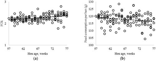 Figure 7. Relationship between: (a) hen age (weeks) and FCR; (b) hen age (weeks) and feed consumption per hen (g).