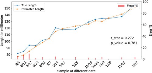 Figure 11. A four-months growth Shrimps length estimation and its error percentage.