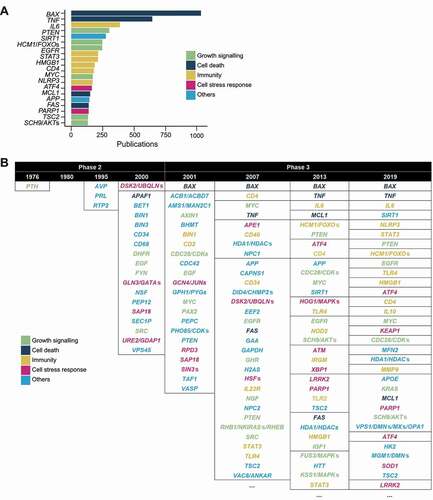 Figure 4. Non-autophagy genes in autophagy publications. (A) The top 20 most mentioned non-autophagy genes (of Homo sapiens and Saccharomyces cerevisiae) found in the titles and abstracts of autophagy publications. (B) The top few non-autophagy genes of selected years of phase 2 and phase 3. Genes that are in the same border occurred the same frequency. Genes ending with “’s” are homologs beginning with the same letters and ellipses indicate the presence of more results (see Data S3 for full names and all detected genes).