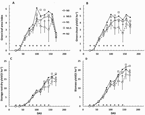 Figure 6. Carrot crop growth through Expt 1314: A, Green leaf area index (LG); B, Green shoot dry yield; C, Storage root dry yield; and D, biomass yield. DAS = days after sowing. On each graph the crosses indicate times when nitrogen fertiliser was applied. Treatment means for the control (N0) treatment are plotted ± the mean standard error (MSE) from the analysis of variance for that day (using plant population and replicate block as covariates). The 95% confidence interval for separation between treatment means is approximately 2×MSE.