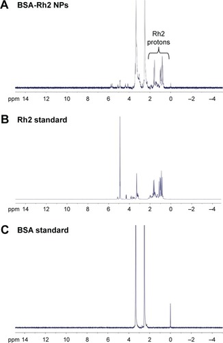 Figure 3 1H NMR analysis of BSA-Rh2 NPs (A), standard Rh2 (B) and standard BSA (C).Abbreviations: BSA, bovine serum albumin; NPs, nanoparticles.