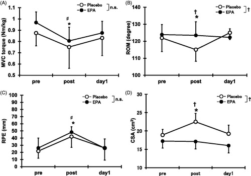 Figure 3. Changes (means ± SD) in maximal voluntary isometric contraction (MVC) torque (A), range of motion (ROM) (B), rating of perceived exertion (RPE) (C), and cross-sectional area (D) before (pre), immediately after (post), and 1 day (day 1) after concentric contractions in placebo group and EPA group. Significance: †(p < 0.05), a significant difference between groups; ♯(p < 0.05), a significant difference from pre-exercise value in EPA group; *(p < 0.05), a significant difference from pre-exercise value in placebo group; n.s., not significant.