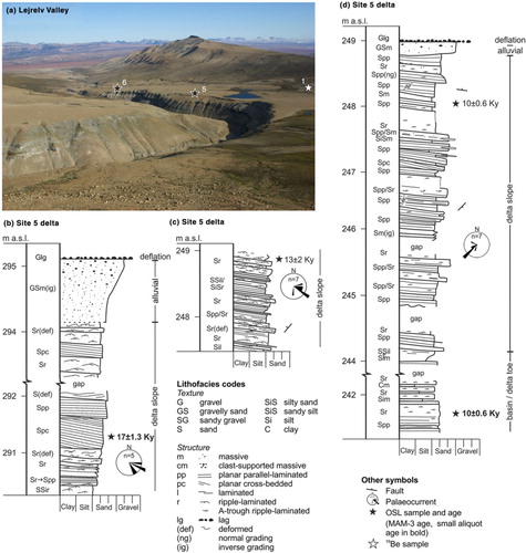 Fig. 4 Lejrelv Valley. (a) View out of the valley, towards the east, with Klitdal and Liverpool Land in the background. Stars and numbers mark site locations (see Table 1). (b). Sediment section from site 5, one of the deltas in the Lejrelv Valley, with a top surface at 295 m a.s.l. (c) Sediment section from site 6, a delta with a top surface at 250 m a.s.l. (d) Sediment section from site 7 between the Lejrelv and Umingmakelv valleys (see Fig. 2a for location). Minimum age model is abbreviated to MAM-3.