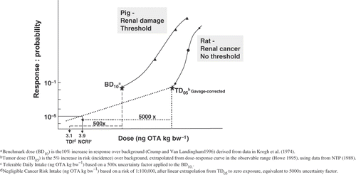 Figure 1. Derivation of risk metrics for OTA.