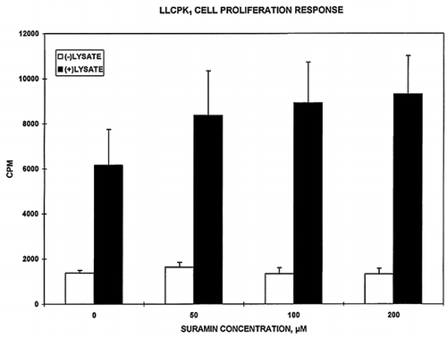 Figure 8. Effect of suramin on human RBC lysate promotion of 3H-thymidine uptake in LLC-PK1 cells. The bars represent the mean ± SEM of cpm of four paired studies in which 3H-thymidine uptake was measured in the absence (open bars) or presence (solid bars) of 40 μl of human RBC lysate at increasing concentrations of suramin. Suramin did not affect lysate promotion of 3H-thymidine incorporation.