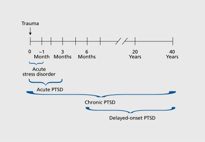 Figure 1. Time course and post-traumatic stress disorder (PTSD) subtypes.