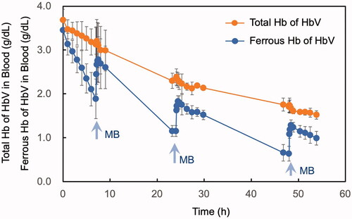 Figure 3. Time courses of the level of total Hb derived from HbV in blood (orange plots) and the level of ferrous Hb (HbO2 + deoxyHb) derived from HbV in blood (blue plots). MB was injected three times at the time points indicated with arrows, and the level of ferrous Hb derived from HbV increased spontaneously at each time. Mean ± SD (n = 3).