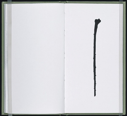 Figure 6. Erica Van Horn and Simon Cutts, “14 blackthorns: a fascicule,” unpaginated.