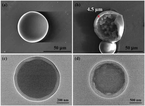 Figure 3. SEM images of microcapsules: (a) smooth surface, (b) broken capsules. The diameter is approximately 50 μm and the thickness is approximately 4.5 μm. The ratio between MDI, PEG, and BDO is 6:1:5; TEM images of microcapsules: (c) core-shell structure, (b) core-shell structure and convex structure.